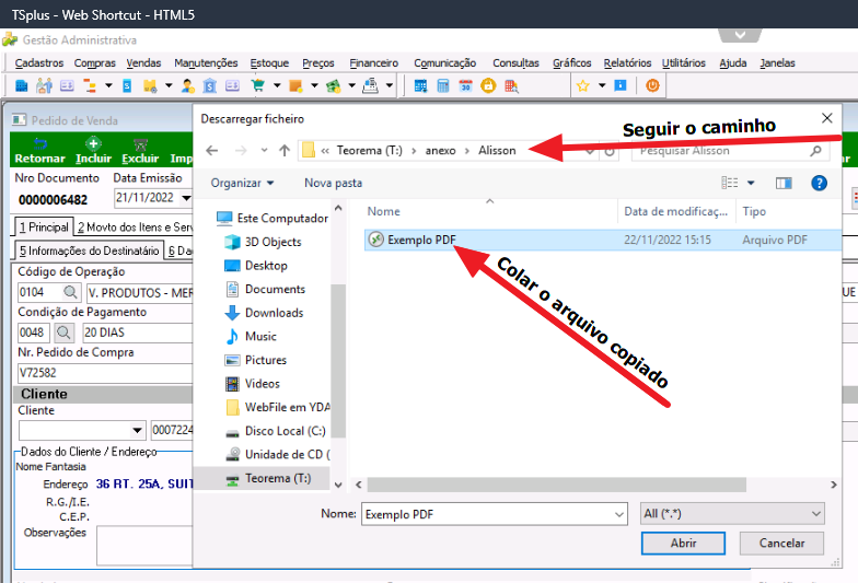 Janela "Descarregar ficheiro" com caminho de navegação "Teorema (T:) > anexo > Alisson" destacado pela instrução "Seguir o caminho" e o arquivo "Exemplo PDF" colado na pasta, com a instrução "Colar o arquivo copiado" apontando para ele