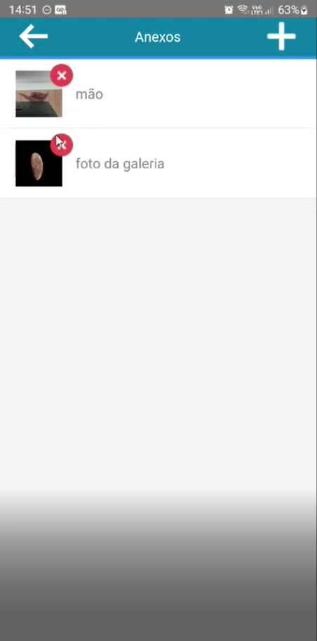 Tela "Anexos" com dois anexos salvos: "mão" (foto da câmera) e "foto da galeria" (foto da galeria)