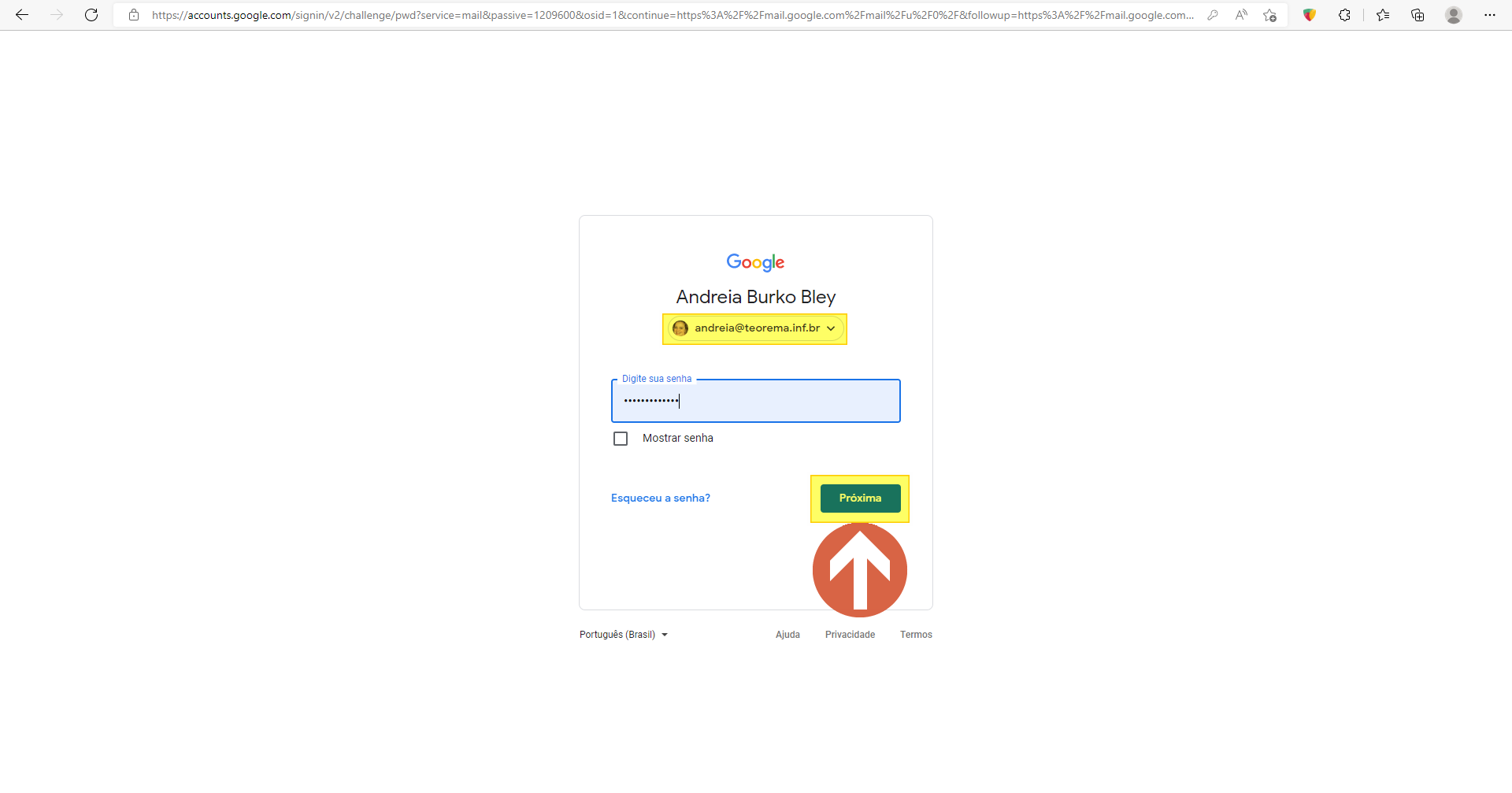 Tela de autenticação Google com campo "Digite sua senha" preenchido e botão "Próxima" destacado