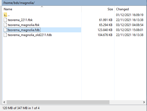 WinSCP — painel remoto exibindo pasta /home/bds/magnolia/ com arquivos teorema_2211.fbk, teorema_magnolia.fbk, teorema_magnolia.fdb (selecionado) e teorema_magnolia_old2211.fdb