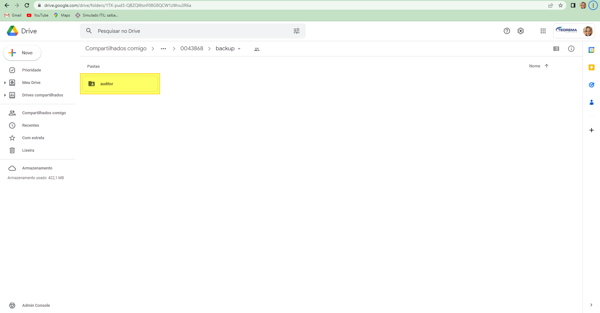 Google Drive — dentro de backup, subpasta auditor destacada