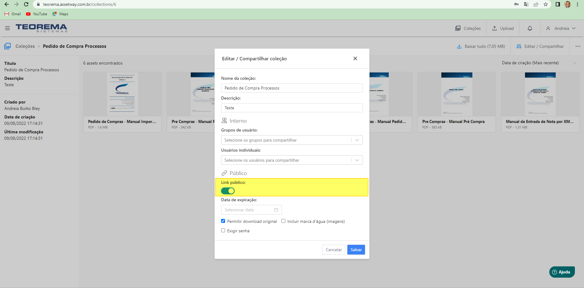 Modal com toggle "Link público" ativado e campos Data de expiração, Permitir download original e Exigir senha disponíveis, botão Salvar
