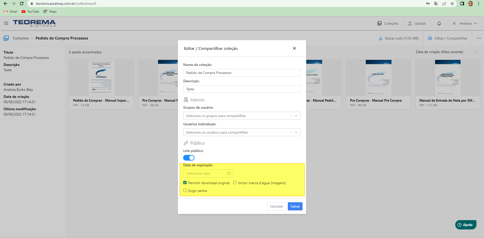 Modal com campo "Link público (URL)" exibindo o endereço gerado e links "Enviar por e-mail" e "Abrir em nova aba"