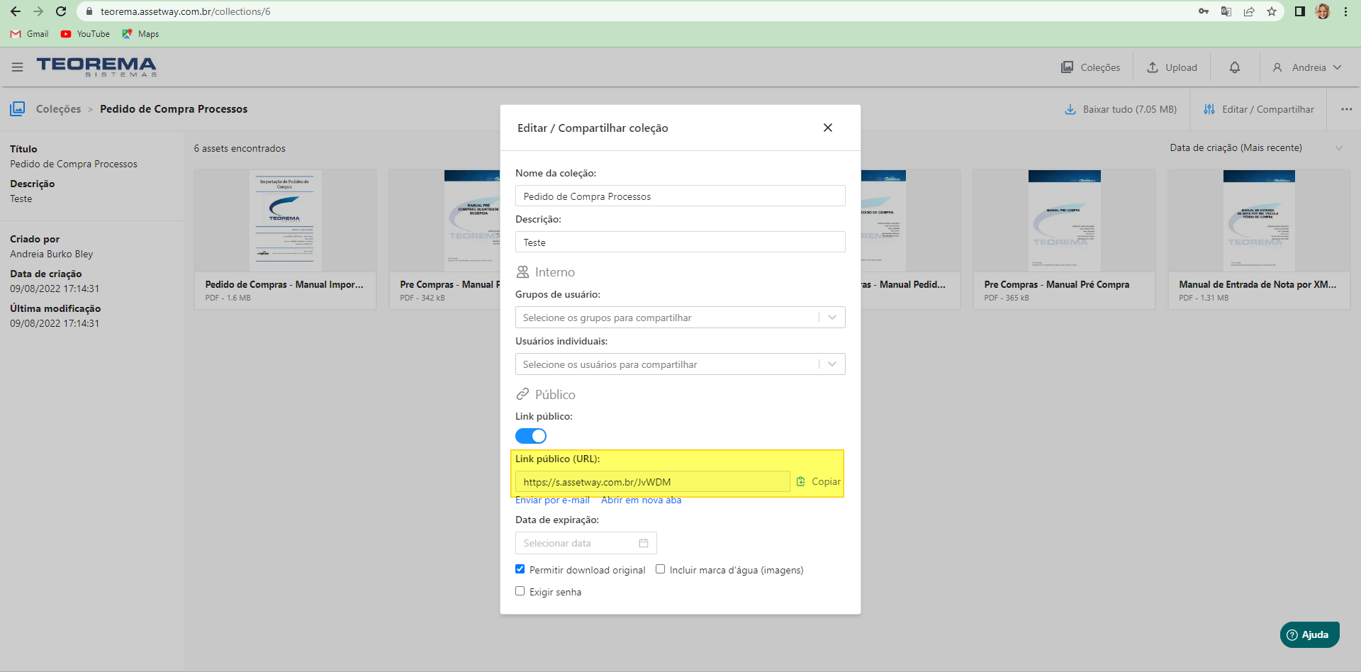 Modal com opções Data de expiração, Permitir download original e Exigir senha destacadas