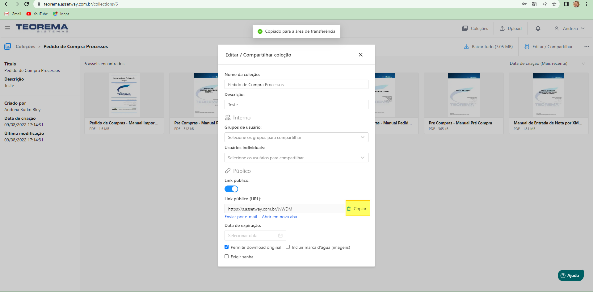 Modal com link público gerado e botão Copiar; notificação "Copiado para a área de transferência" exibida