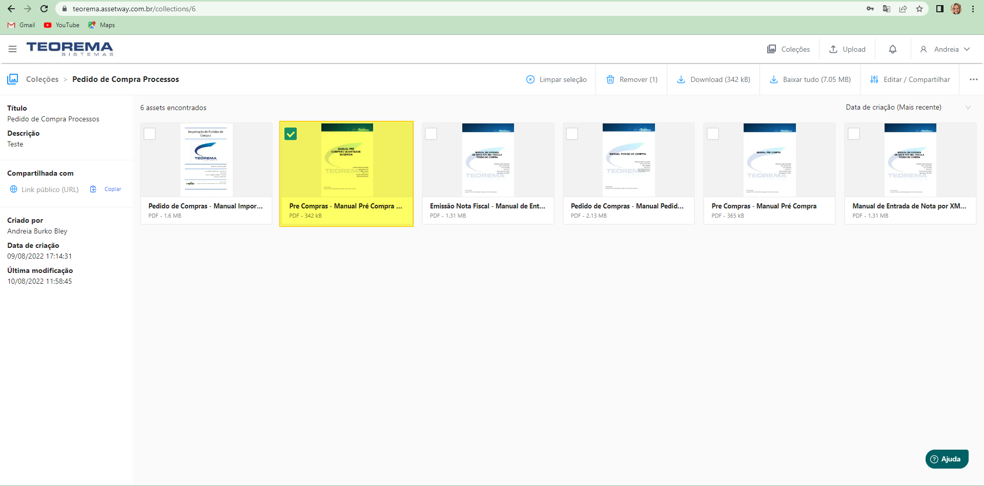 Coleção com um manual selecionado e opção "Download (342 kB)" disponível na barra de ações