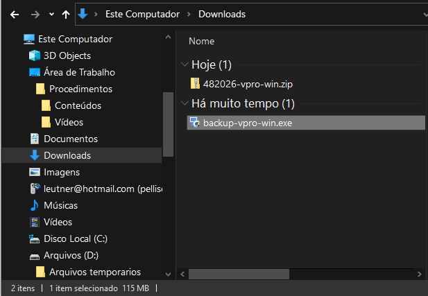 Windows Explorer mostrando pasta Downloads com arquivo 482026-vpro-win.zip (hoje) e backup-vpro-win.exe (há muito tempo), 2 itens, 115 MB