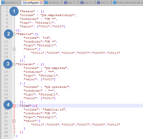 Editor de texto com o conteúdo do config.json: objetos "Pessoa", "Familia", "Situacao" e "Item", cada um com campos coluna, condicao, tipo e valor contendo arrays de códigos
