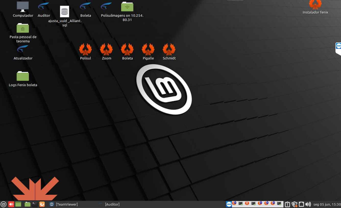 Área de trabalho Linux Mint com ícones de atalho na barra inferior e atalhos da Teorema na área de trabalho