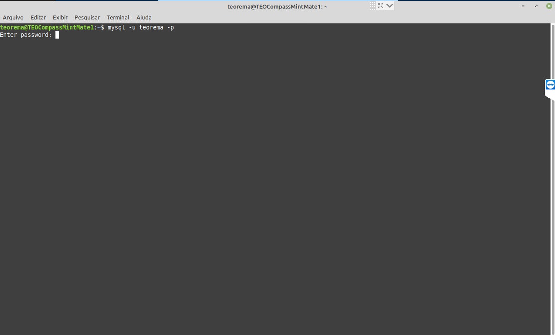 Terminal exibindo o prompt "Enter password:" aguardando a senha do usuário teorema