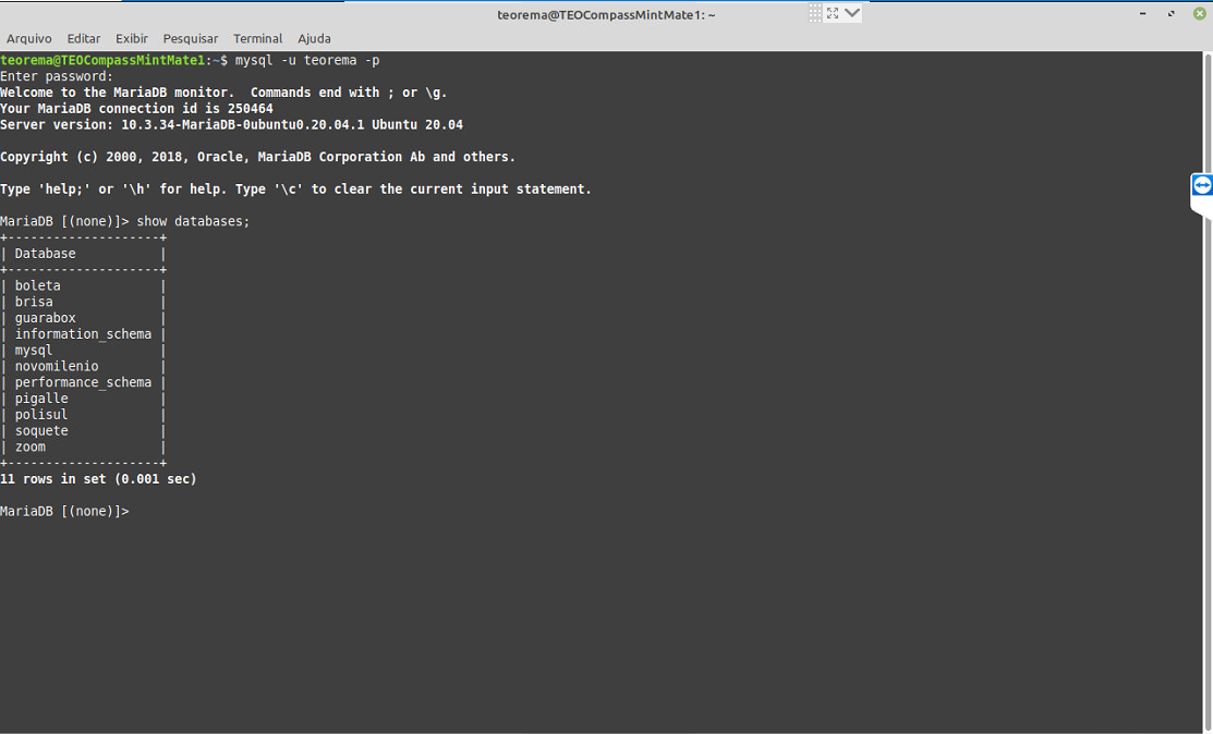 Terminal MariaDB exibindo lista de bancos: boleta, brisa, guarabox, information_schema, mysql, novomilenio, performance_schema, pigalle, polisul, soquete, zoom — 11 rows in set
