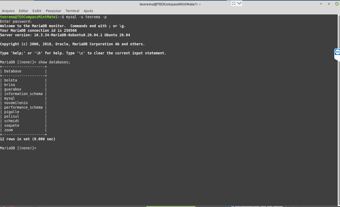 Terminal MariaDB exibindo lista de bancos incluindo schmidt — 12 rows in set