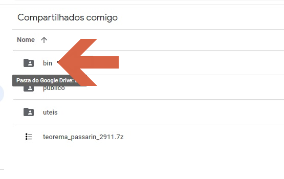 Google Drive — pasta "Compartilhados comigo" com pasta "bin" destacada
