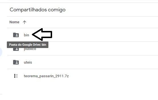 Google Drive — tela "Compartilhados comigo" com pasta "bin" indicada por seta