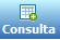 Botão Consulta