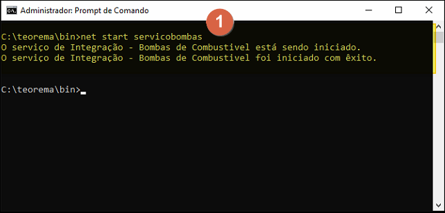 Prompt de Comando exibindo: "O serviço de Integração – Bombas de Combustível está sendo iniciado." seguido de "O serviço de Integração – Bombas de Combustível foi iniciado com êxito."
