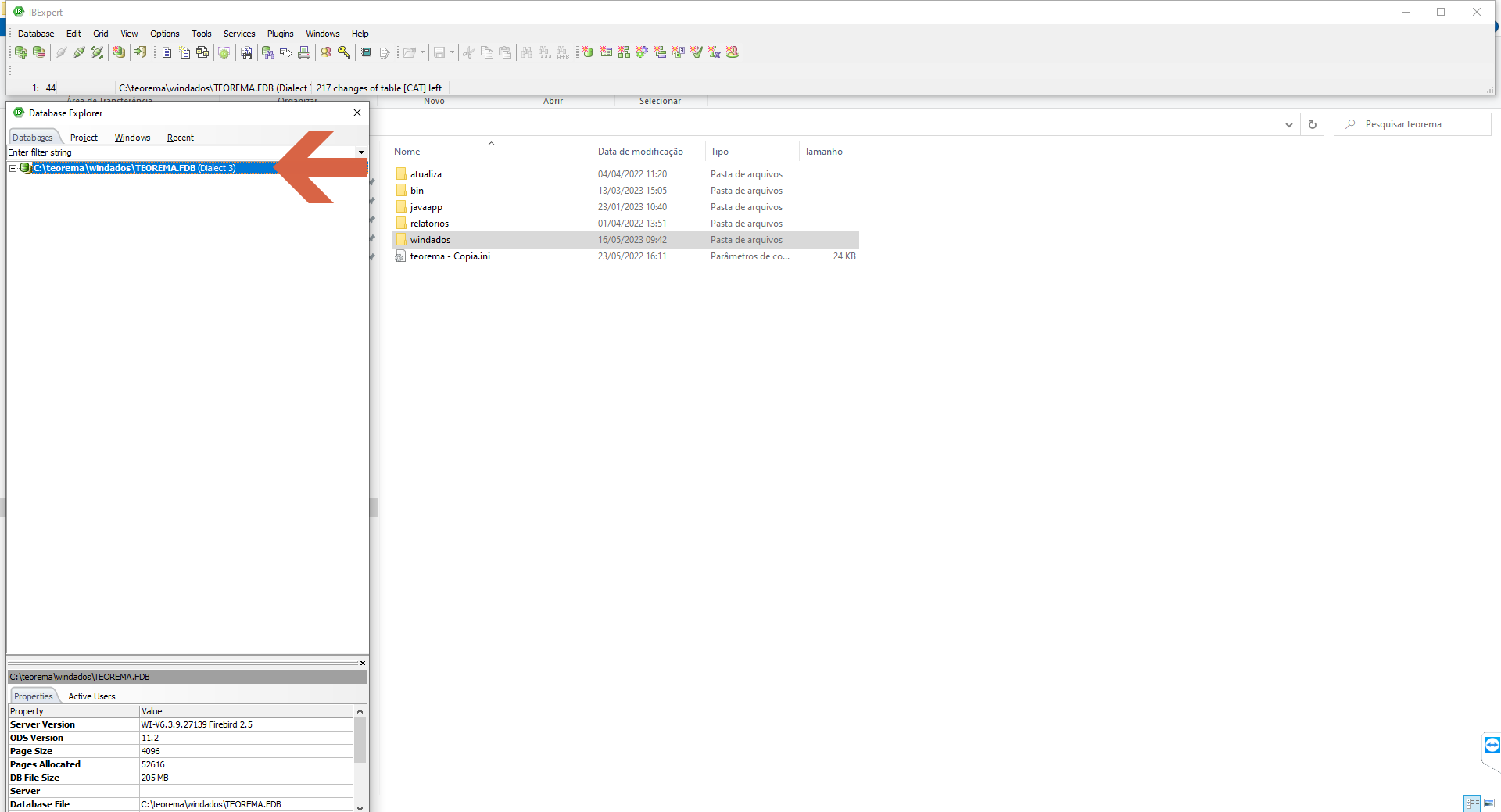 IBExpert com o Database Explorer aberto; banco C:\teorema\windados\TEOREMA.FDB selecionado na aba Databases