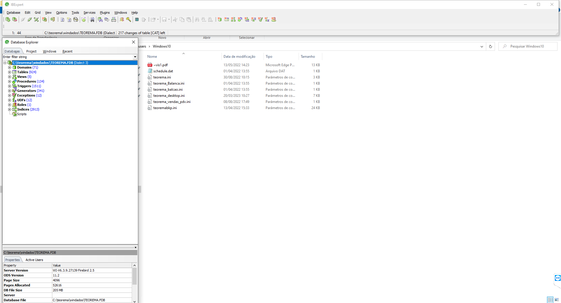 IBExpert com Database Explorer mostrando a estrutura do banco TEOREMA.FDB expandida: Domains (71), Tables (924), Views (5), Procedures (134), Triggers (1511), Generators (341), Exceptions (12), UDFs (12), Roles (1), Indices (2913), Scripts