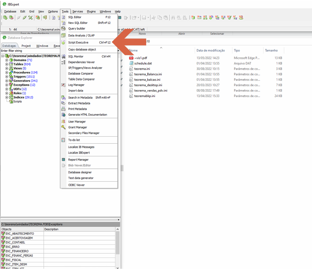 Menu Tools do IBExpert expandido com a opção Script Executive destacada