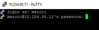 Terminal PuTTY exibindo prompts "login as: marcio" e "marcio@10.254.80.11's password:"