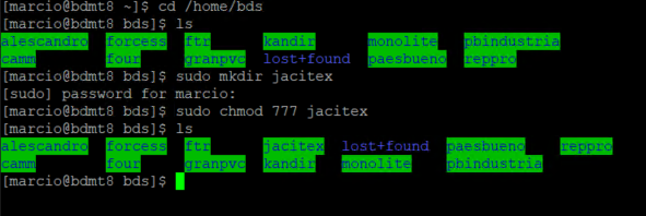 Terminal Linux mostrando execução dos comandos: cd /home/bds; ls listando diretórios existentes; sudo mkdir jacitex; sudo chmod 777 jacitex; ls confirmando criação do diretório jacitex