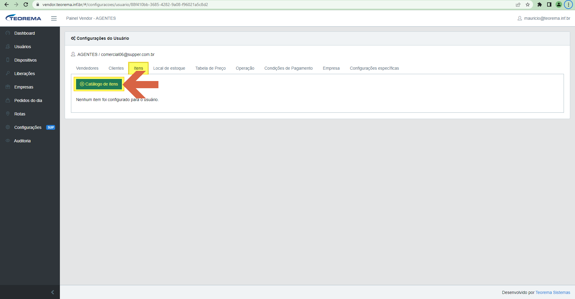Aba Itens nas Configurações do Usuário com botão Catálogo de Itens e mensagem informando que nenhum item foi configurado