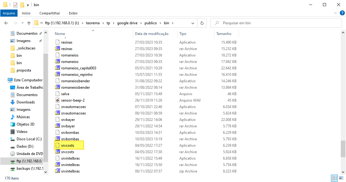 Windows Explorer mostrando o caminho ftp > teorema > tp > google drive > publico > bin com o arquivo srvcosts destacado na listagem