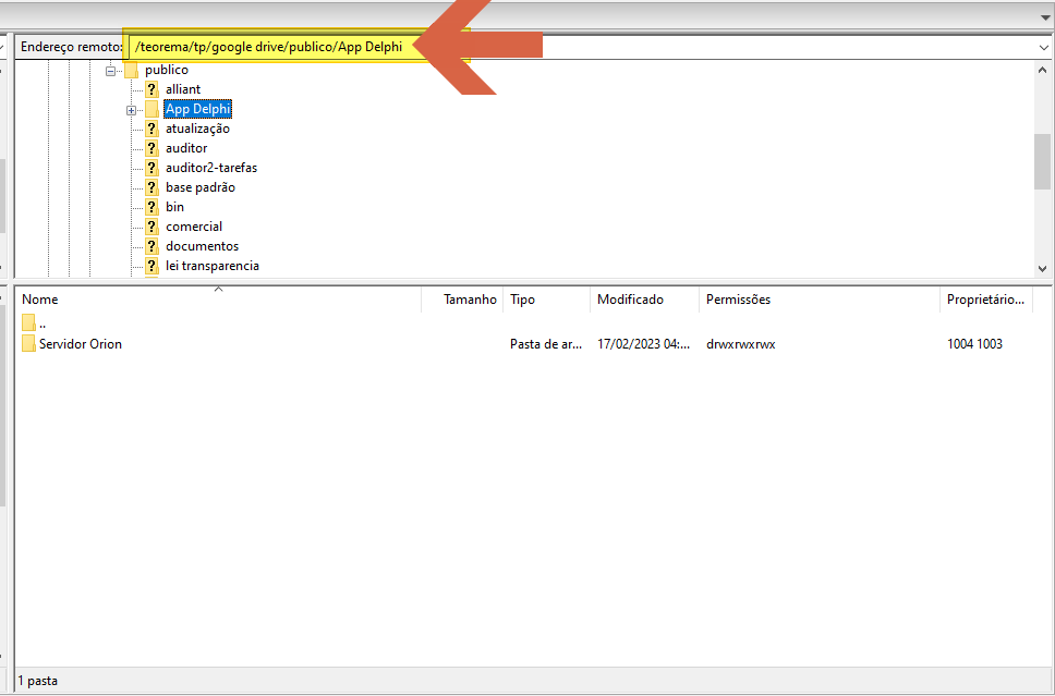 Gerenciador de arquivos FTP mostrando endereço remoto /teorema/tp/google drive/publico/App Delphi com a pasta "Servidor Orion" selecionada e listada no painel inferior