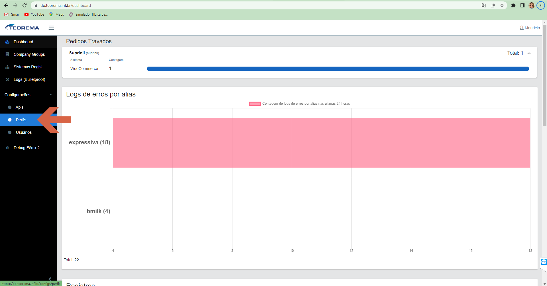 Dashboard do Manager Bridgeweb com menu lateral mostrando item Perfis destacado em Configurações