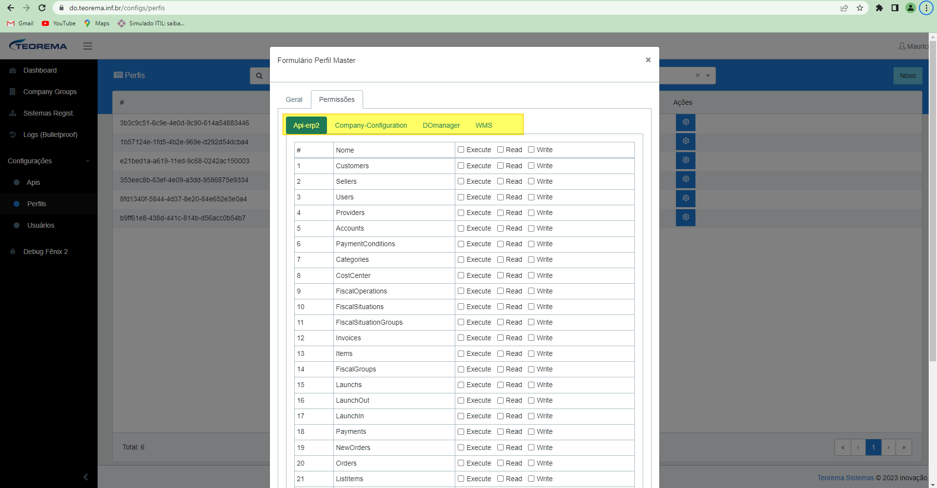 Formulário Perfil Master com aba Permissões aberta na sub-aba Api-erp2 exibindo lista de módulos como Customers, Sellers, Users, Providers, Accounts, PaymentConditions, Categories, CostCenter, FiscalOperations, FiscalSituations, FiscalSituationGroups, Invoices, Items, FiscalGroups, Launchs, LaunchOut, LaunchIn, Payments, NewOrders, Orders, ListItems com colunas Execute, Read e Write