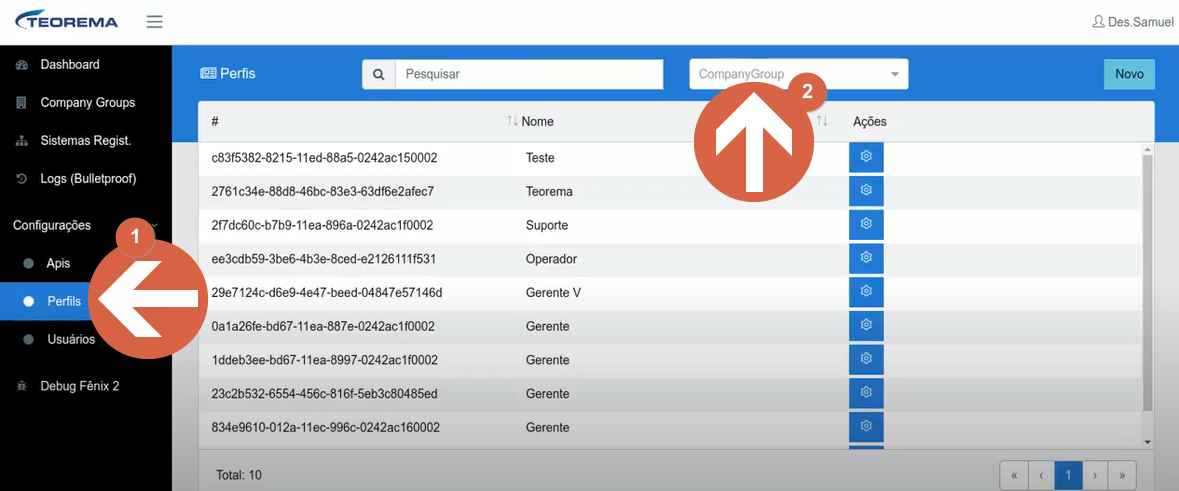 Tela Perfis com menu lateral mostrando item Perfis selecionado e botão Novo visível