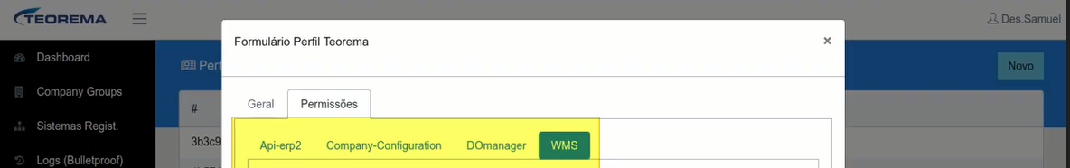 Formulário Perfil Teorema com aba Permissões aberta mostrando sub-abas Api-erp2, Company-Configuration, DOmanager e WMS