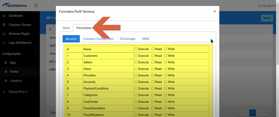 Formulário Perfil Teorema com sub-aba Api-erp2 ativa exibindo módulos Customers, Sellers, Users, Providers, Accounts, PaymentConditions, Categories, CostCenter, FiscalOperations, FiscalSituations com colunas Execute, Read e Write