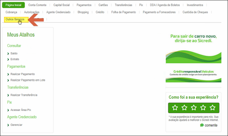 Internet Banking do Sicredi com menu de navegação superior contendo Página Inicial, Conta Corrente, Capital Social, Pagamentos, Cartões, Transferências, Pix, DDA/Agenda de Boletos, Investimentos, Cobrança, Autorizações, Agente Credenciado, Shopping, Crédito, Folha de Pagamento, Pagamento a Fornecedores, Custódia de Cheques; opção Outros Serviços destacada no menu lateral