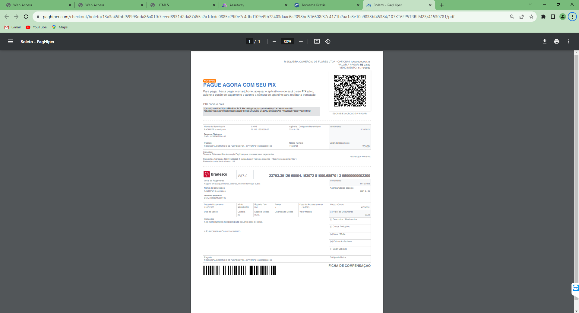 Boleto PagHiper em PDF exibindo QR Code PIX, seção "PAGUE AGORA COM SEU PIX" com instruções, linha digitável Bradesco 237-2, dados do beneficiário Teorema Sistemas e do pagador R. SIQUEIRA COMERCIO DE FLORES LTDA, valor R$ 23,00 e código de barras