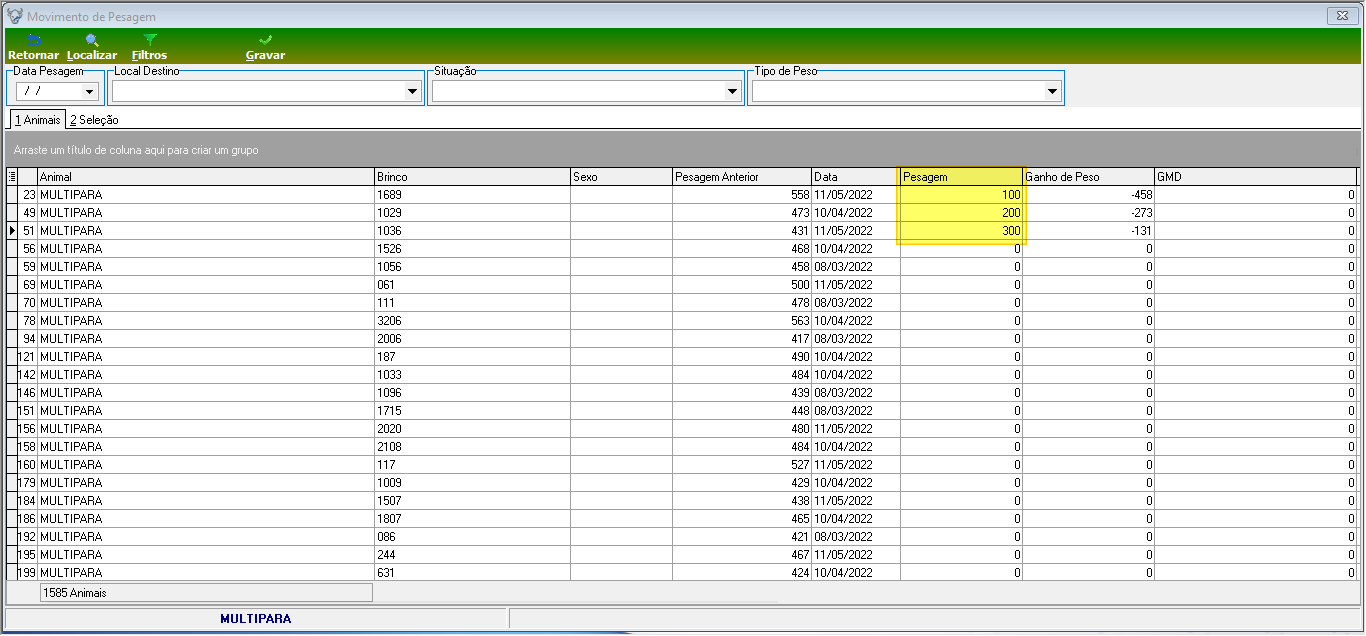 Tela Movimento de Pesagem por Lote com filtros Data Pesagem, Local Destino, Situação e Tipo de Peso. Aba 1 Animais com grid exibindo 1585 animais da criação MULTIPARA, colunas: Animal, Brinco, Sexo, Pesagem Anterior, Data, Pesagem (campo editável realçado em amarelo para os três primeiros registros), Ganho de Peso e GMD.