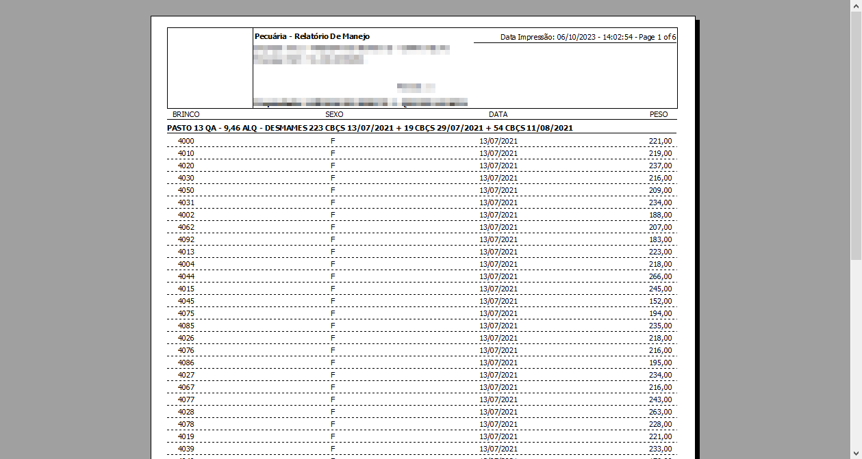 Relatório impresso "Pecuária - Relatório De Manejo" — Page 1 of 6, Data Impressão 06/10/2023. Cabeçalho da empresa (dados borrados). Colunas: Brinco, Sexo, Data e Peso. Agrupamento por pasto: "PASTO 13 QA - 9,46 ALQ - DESMAMES 223 CBCS 13/07/2021 + 19 CBCS 29/07/2021 + 54 CBCS 11/08/2021". Registros de brincos 4000 a 4039 com sexo F, data 13/07/2021 e pesos entre 152,00 e 266,00.