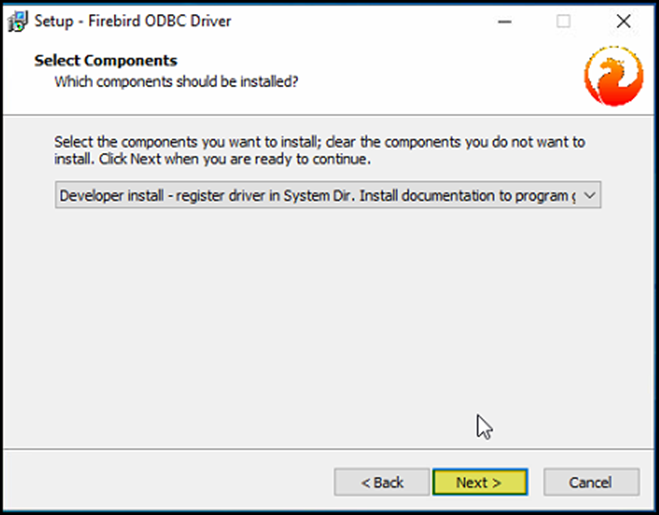 Janela "Select Components" com opção "Developer install - register driver in System Dir. Install documentation to program dir" selecionada e botão Next