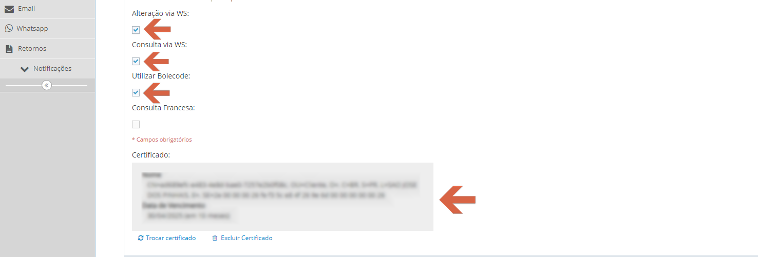 Teorema Pay — continuação da aba Configurações do convênio com checkboxes: Alteração via WS (marcado), Consulta via WS (marcado), Utilizar Bolecode (marcado), Consulta Francesa (desmarcado); seção Certificado exibindo dados ofuscados do certificado carregado; links Trocar certificado e Excluir Certificado.