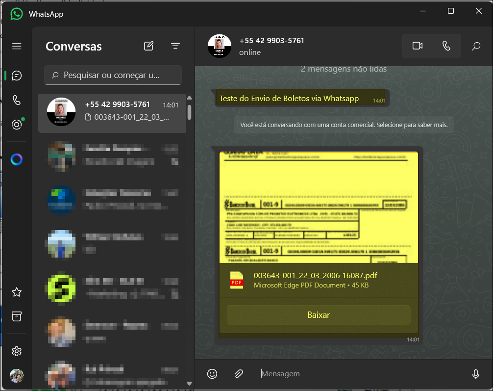 WhatsApp Desktop com conversa aberta exibindo mensagem de texto com o texto do envio e arquivo PDF do boleto anexado