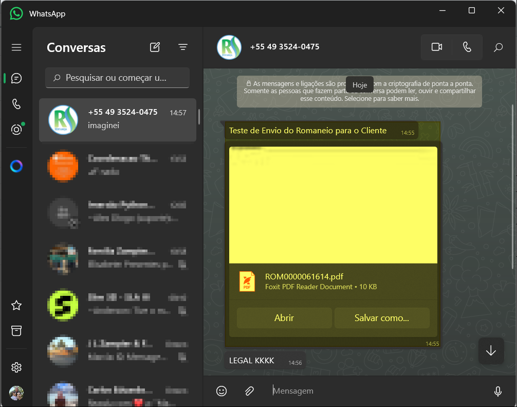 Conversa no WhatsApp Desktop mostrando mensagem de texto e arquivo ROM0000061614.pdf recebido pelo cliente com opções Abrir e Salvar como