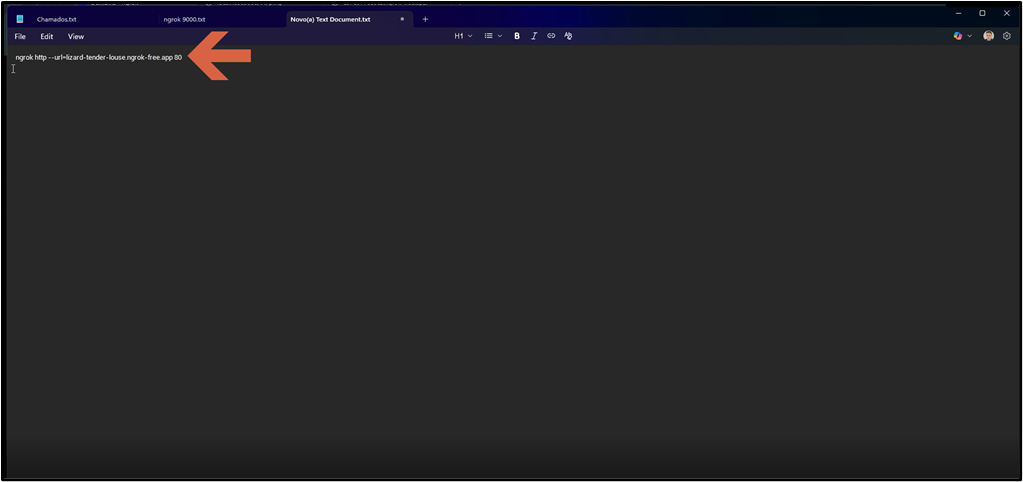 Editor de texto (Notepad) exibindo o arquivo "Novo(a) Text Document.txt" com o conteúdo "ngrok http --url=lizard-tender-louse.ngrok-free.app 80"; seta aponta para o conteúdo do arquivo