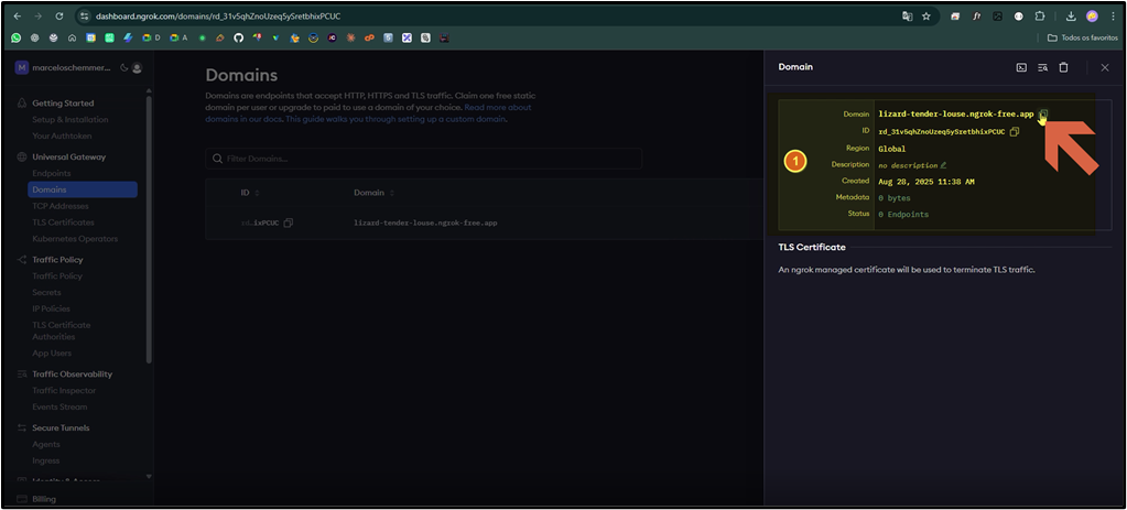 Painel do Ngrok em dashboard.ngrok.com mostrando o domínio "lizard-tender-louse.ngrok-free.app" listado na tabela de Domains; painel lateral exibe os detalhes: Domain, ID, Region "Global", Description "no description", Created "Aug 28, 2025 11:38 AM", Metadata "0 bytes", Status "0 Endpoints"; seta 1 aponta para o domínio na listagem