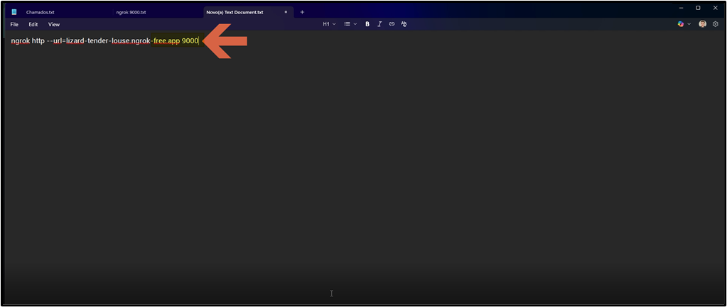 Editor de texto exibindo o comando "ngrok http --url=lizard-tender-louse.ngrok-free.app 9000" já com a porta 9000 configurada; seta aponta para o texto do comando