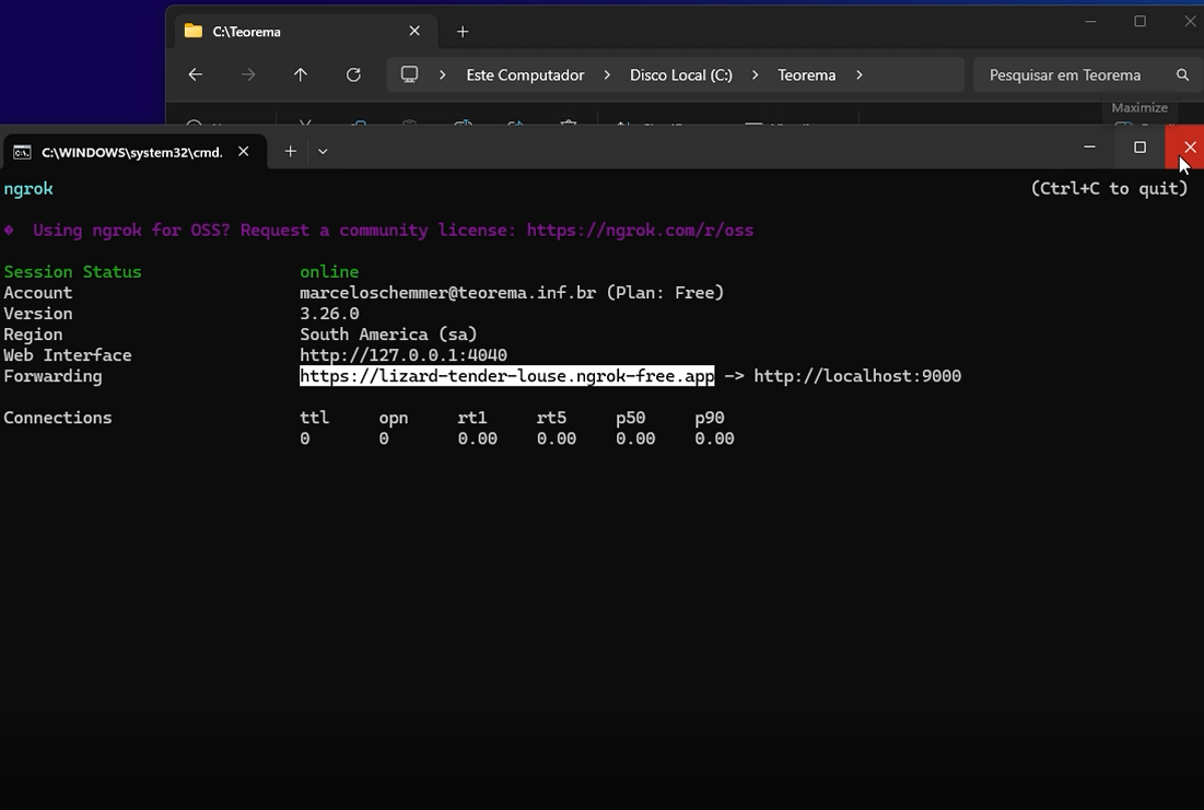 Terminal do Ngrok com Session Status "online", Account "marceloschemmer@teorema.inf.br (Plan: Free)", Version 3.26.0, Region "South America (sa)", Web Interface "http://127.0.0.1:4040" e linha Forwarding "https://lizard-tender-louse.ngrok-free.app -> http://localhost:9000"