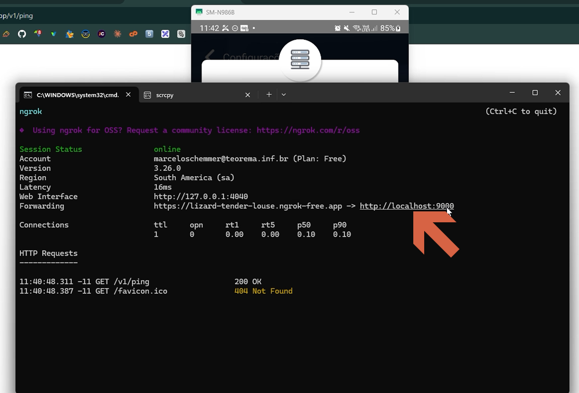 Terminal do Ngrok com Session Status "online", Forwarding "https://lizard-tender-louse.ngrok-free.app -> http://localhost:9000", Connections e log de HTTP Requests exibindo "200 OK" para GET /v1/ping e "404 Not Found" para GET /favicon.ico; seta vermelha aponta para "http://localhost:9000" na linha Forwarding