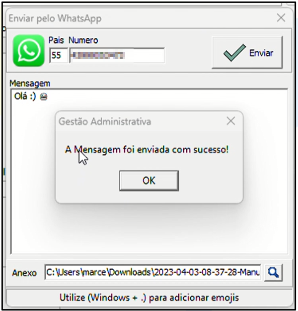 Janela "Enviar pelo WhatsApp" com diálogo do Gestão Administrativa sobreposto exibindo "A Mensagem foi enviada com sucesso!" e botão OK
