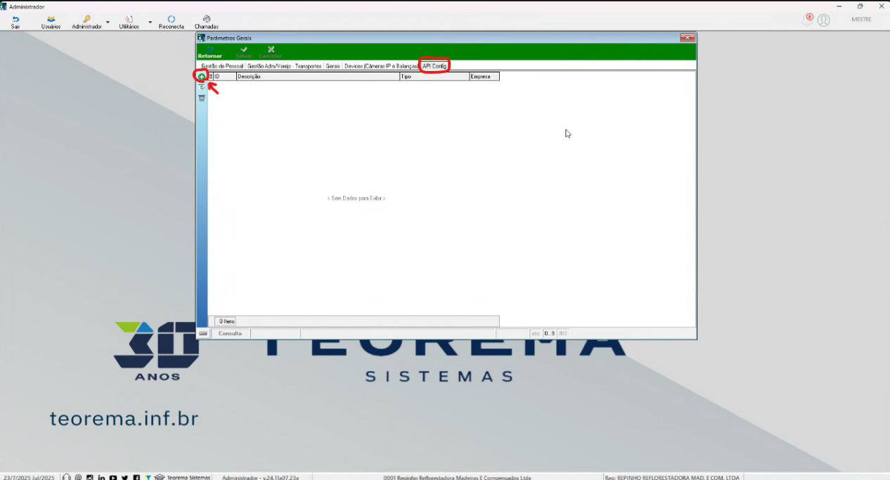 Tela Parâmetros Gerais com aba API Config selecionada, colunas ID, Descrição, Tipo e Empresa, botão adicionar (+) destacado e mensagem "Sem Dados para Exibir" na grade