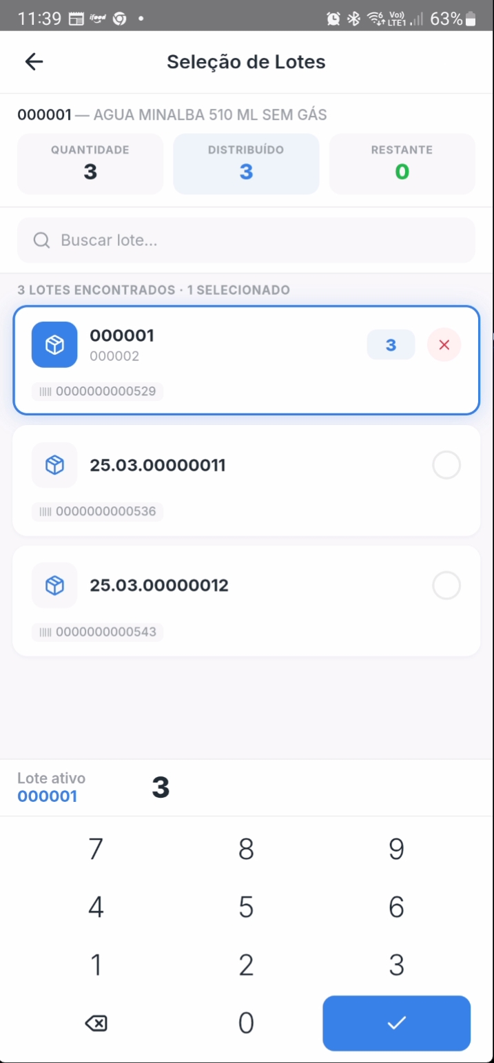 Tela mostrando lote selecionado e quantidade