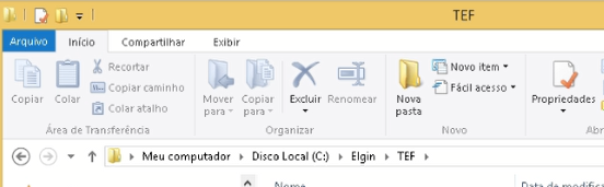 Pasta TEF aberta no Windows Explorer mostrando a estrutura de diretórios